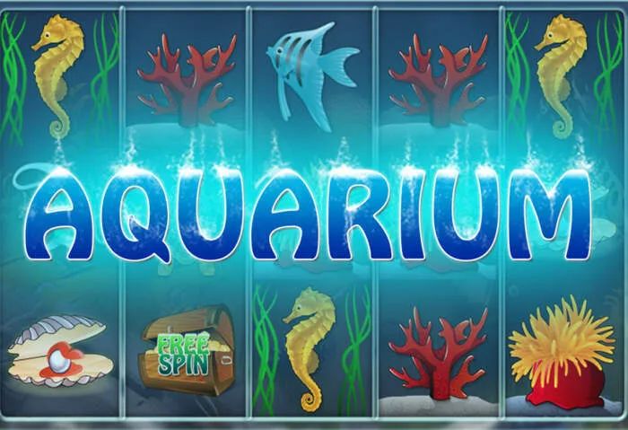 Discover a wide variety of best online slots at Voodoo Casino Online