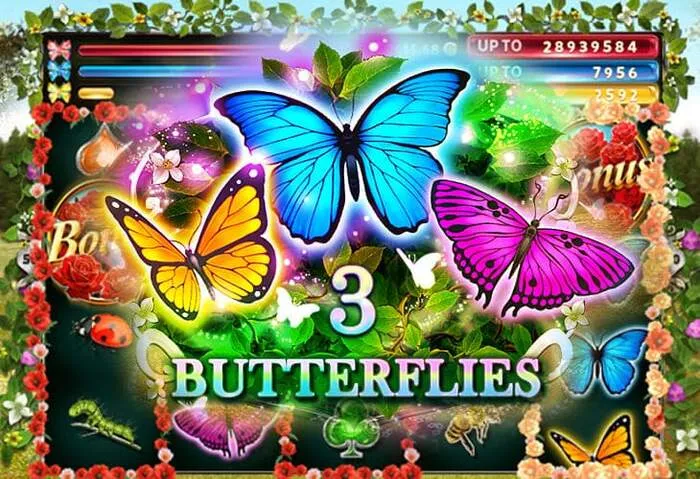 Experience real-time live casino action at Voodoo Casino online